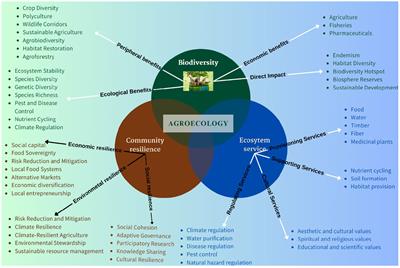 Agroecological approaches to sustainable development